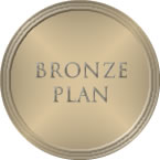 bronze_0
